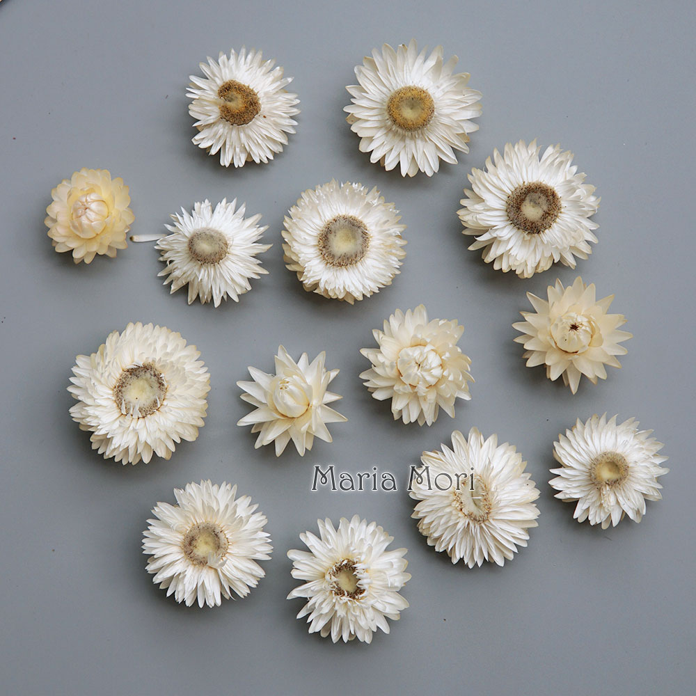 Karangan bunga krisan warna-wa - Baby Products Natural ulasan dan harga